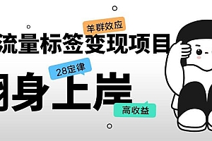 抖音流量标签变现项目,抖音创业粉轻松转化,单价高收益简单