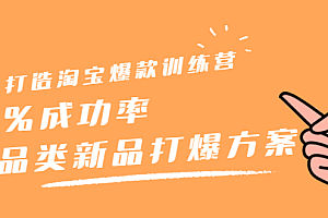 打造淘宝爆款训练营,90%成功率:全品类新品打爆方案