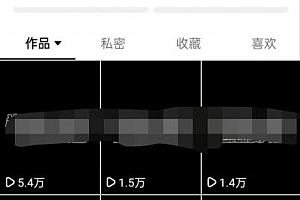 抖音全自动提款机项目:独家蓝海 无需剪辑 单号日赚100~500 (可批量矩阵)