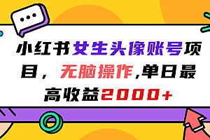 小红书女生头像账号项目,无脑操作,单日最高收益2000+