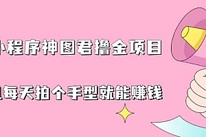 抖音小程序神图君撸金项目,用手机每天拍个手型挂载一下小程序就能赚钱