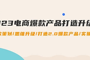 2023电商爆款产品打造升级课:爆款策划/思维升级/打造2.0爆款产品/【推荐】