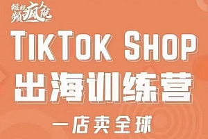 疯人院:TikTok Shop出海训练营(一店卖全球),出海抢占全球新流量