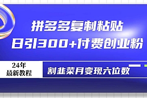 拼多多复制粘贴日引300+付费创业粉,割韭菜月变现六位数最新教程!