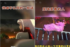 视频号情感动漫治愈变现项目分享课,一条龙玩法分享给你(教程+素材)