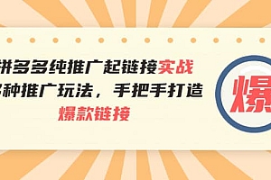 拼多多纯推广起链接实战:多种推广玩法,手把手打造爆款链接