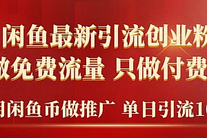 2024年闲鱼币推广引流创业粉,不做免费流量,只做付费流量,单日引流100+