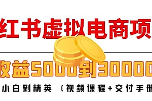 小红书虚拟电商项目:从小白到精英 (视频课程+交付手册)