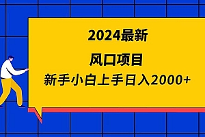 2024最新风口项目 新手小白日入2000+