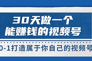 30天做一个能赚钱的视频号,从0-1打造属于你自己的视频号 (14节-价值199)