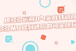 拼多多运营0-1实战特训营,拼多多从0础到进阶的可实操玩法