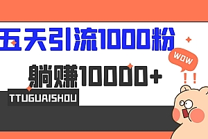 5天引流1000+,赚了1w+