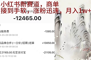 小红书新赛道,商单接到手软,涨粉迅速,月入1w+