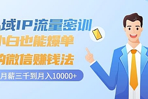 私域IP流量密训:小白也能爆单的微信赚钱法,从月薪三千到月入10000+
