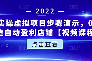 新人实操虚拟项目步骤演示,0基础打造自动盈利店铺【视频课程】
