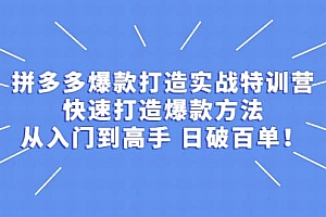 拼多多爆款打造实战特训营:快速打造爆款方法,从入门到高手 日破百单