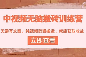 中视频无脑搬砖训练营:无需写文案,纯视频剪辑搬运,就能获取收益