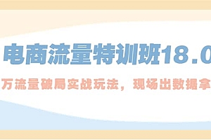 电商流量特训班18.0,直引万流量破局实操玩法,现场出数据拿结果