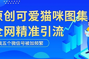 黑科技纯原创可爱猫咪图片,全网精准引流,实操5个VX号被加频繁
