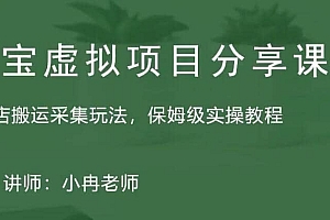 淘宝虚拟整店搬运采集玩法分享课:整店搬运采集玩法,保姆级实操教程