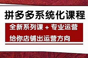 车神陪跑,拼多多系统化课程,全新系列课+专业运营给你店铺出运营方向