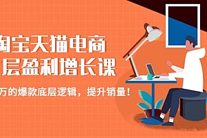 淘宝天猫电商七层盈利增长课:月入N万的爆款底层逻辑,提升销量