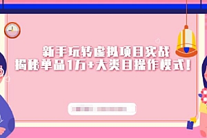 新手玩转虚拟项目实战,揭秘单品1万+大类目操作模式【视频课程】