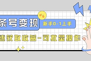 2023头条号实操变现课:新手0-1轻松上手,快速获取收益-可批量操作