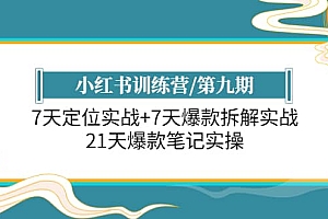 小红书训练营/第九期:7天定位实战+7天爆款拆解实战,21天爆款笔记实操