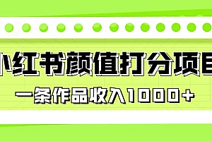 适合0基础小白的小红书颜值打分项目,一条作品收入1000+
