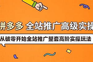 拼多多全站推广高级实操:从破零开始全站推广整套高阶实操玩法