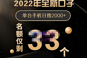 2022年全新口子,手机批量搬砖玩法,一部手机日撸2000+