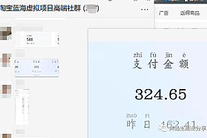 淘宝蓝海虚拟项目陪跑训练营5.0:单天478纯利润(无水印)