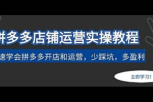 拼多多店铺运营实操教程:快速学会拼多多开店和运营,少踩坑,多盈利