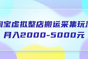 淘宝虚拟整店搬运采集玩法分享课:月入2000-5000元(5节课)