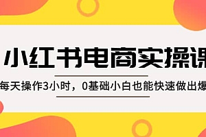 小红书·电商实操课:每天操作3小时,0基础小白也能快速做出爆款