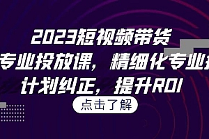 2023短视频带货-千川专业投放课,精细化专业投放,计划纠正,提升ROI