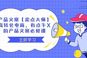产品文案【卖点大师】高转化电商,有点牛X的 产品文案必修课