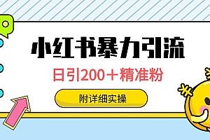 小红书暴力引流大法,日引200+精准粉,一键触达上万人,附详细实操
