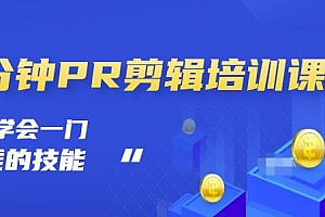 抖音视频一分钟PR剪辑培训:学会一门赚钱的技能,每节课短小精悍