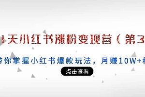 21天小红书涨粉变现营(第3期):带你掌握小红书爆款玩法,月赚10W+秘密