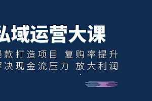 私域运营大课:爆款打造项目 复购率提升 解决现金流压力 放大利润