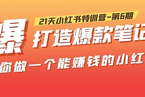 21天小红书特训营-第6期,打造爆款笔记,带你做一个能赚钱的小红书
