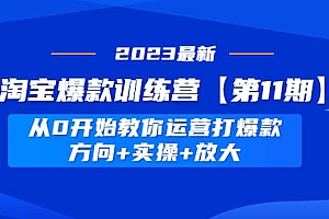 淘宝爆款训练营【第11期】 从0开始教你运营打爆款,方向+实操+放大