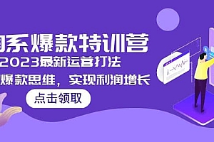 2023淘系爆款特训营,2023最新运营打法,学习爆款思维,实现利润增长