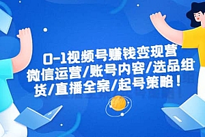 0-1视频号赚钱变现营:微信运营-账号内容-选品组货-直播全案-起号策略