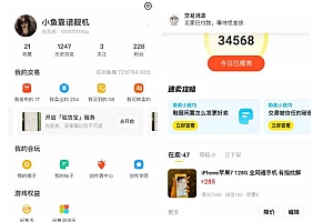 引流哥·闲鱼卖苹果手机项目,教你闲鱼卖货月入上万