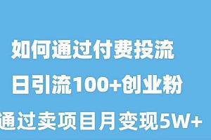 如何通过付费投流日引流100+创业粉月变现5W+
