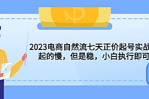 2023电商自然流七天正价起号实战课:起的慢,但是稳,小白执行即可