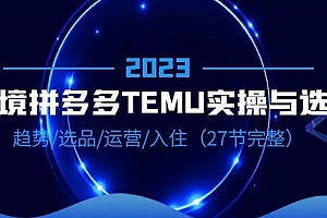 2023跨境·拼多多·TEMU实操与选品,趋势·选品·运营·入住(27节完整)